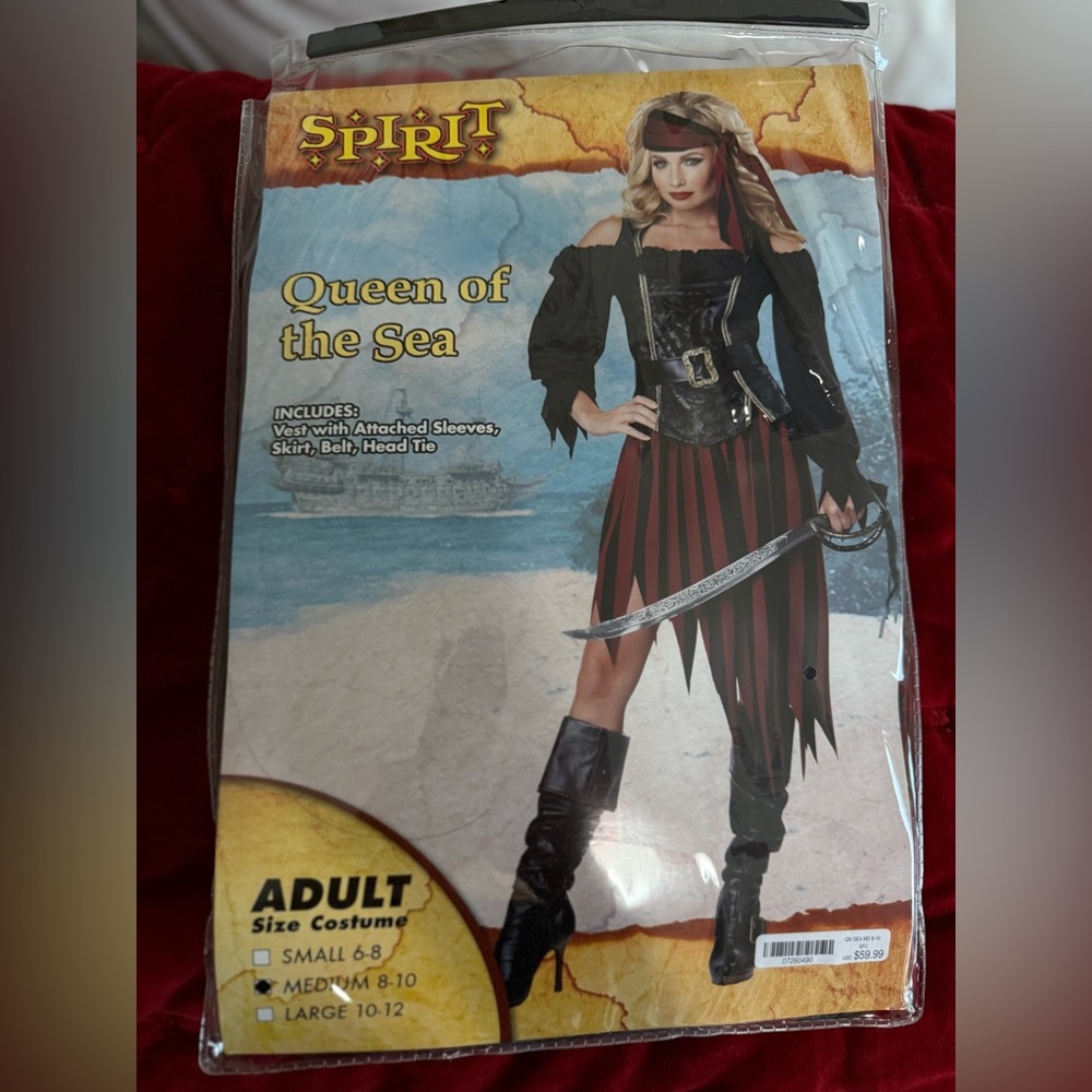 Ladies Pirate’s costume